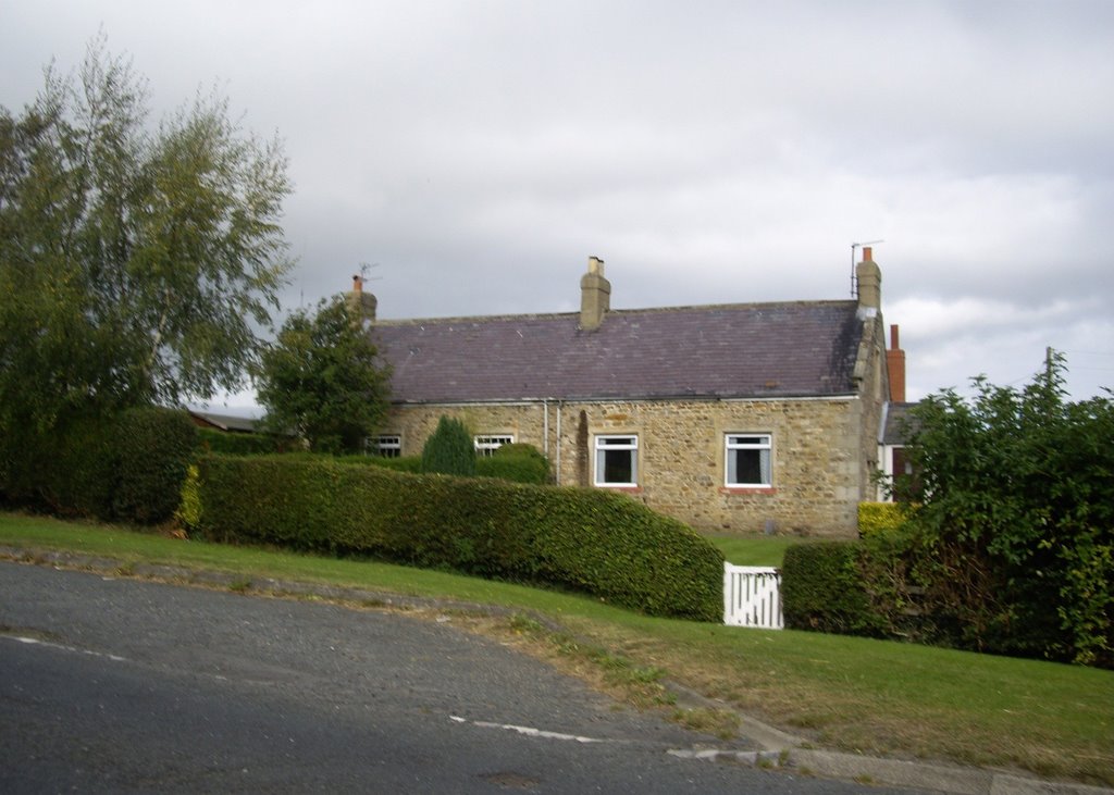 Primrose Cottages, near Winston by SHoweMBOU