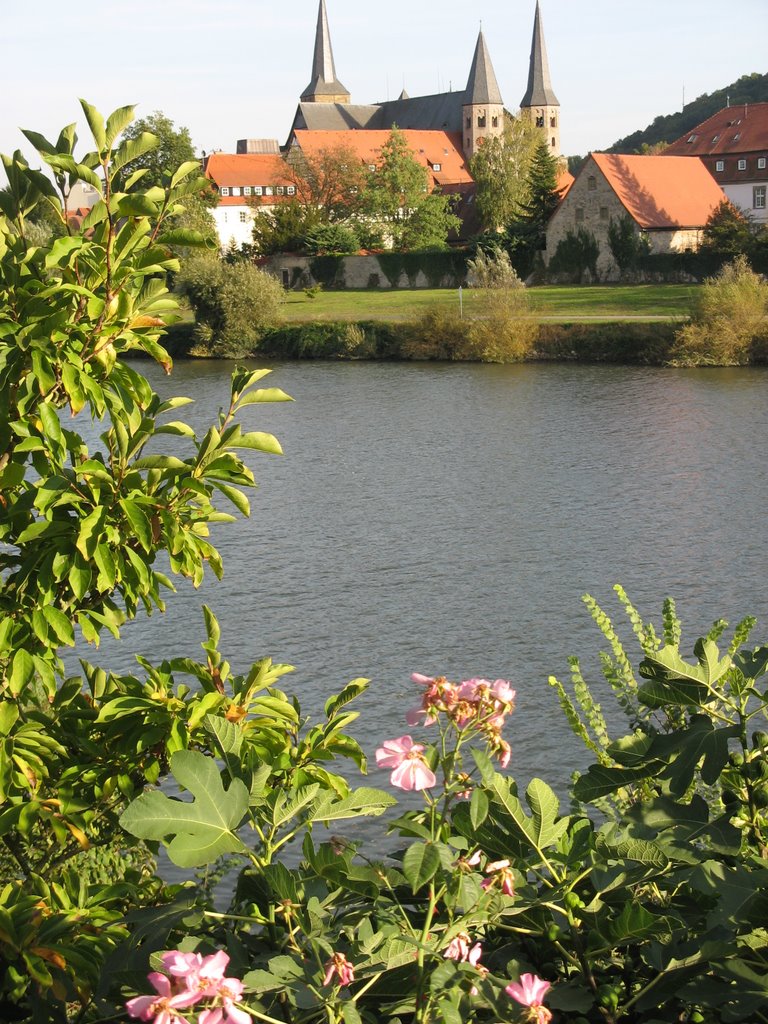 Blick auf die Stiftskriche St. Peter, Wimpfen im Tal by ina-maria