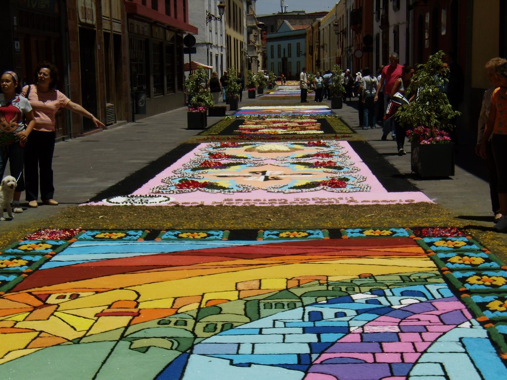 Alfombras de flores by luis serichol