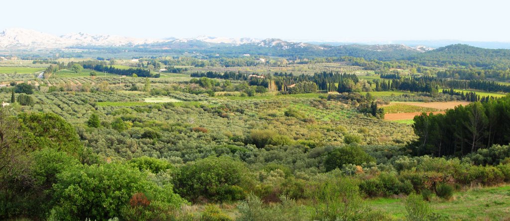 View from Baux de Provence by seanaohara