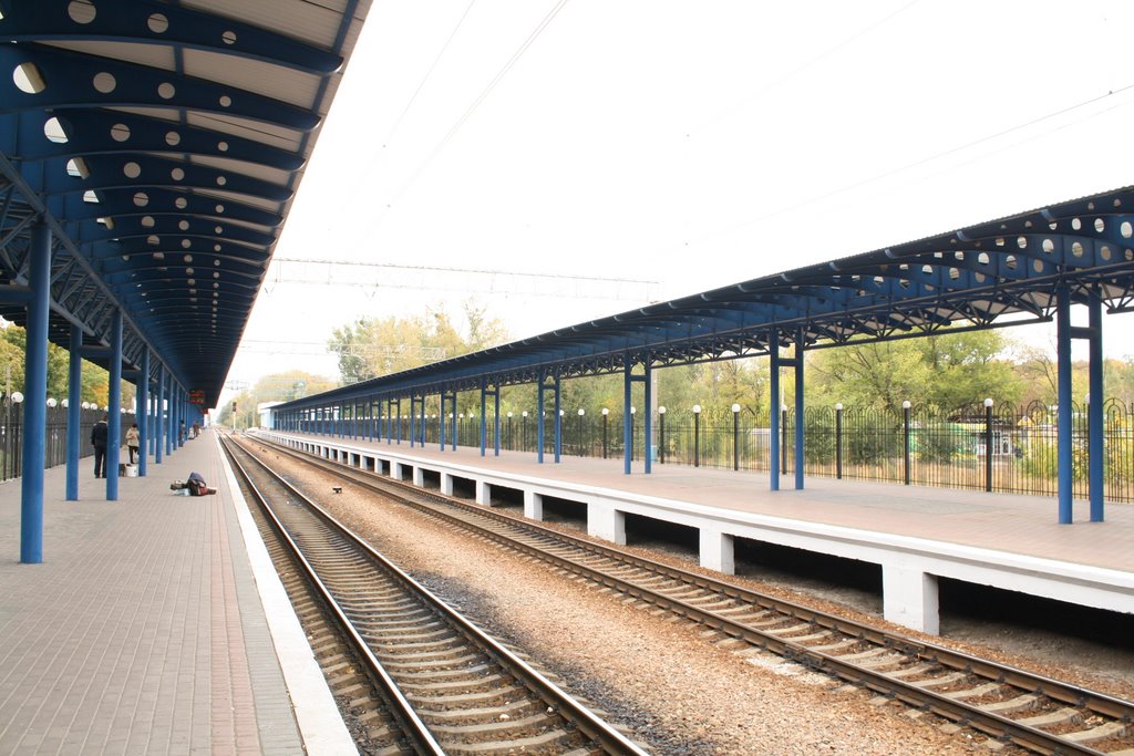 Losevo Railway Station by tarosys