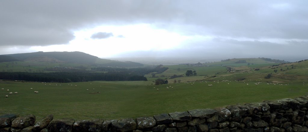 Easby Moor and captain cooks monument from Roseberry common by Denny Teasdale