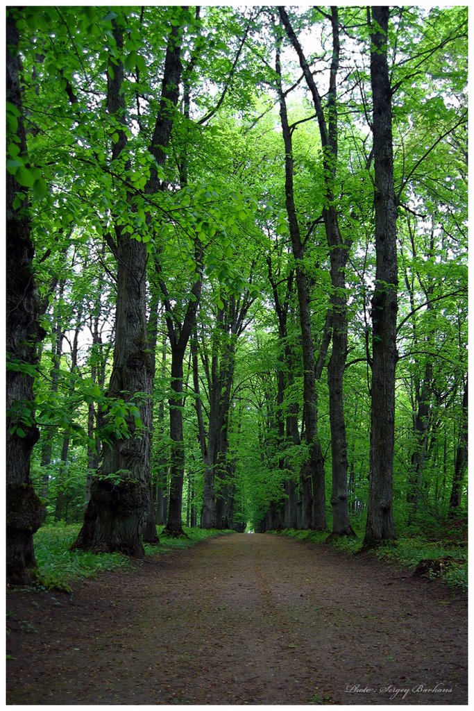 Park In Mezotne (c) Sergey Barkans by DiscoverySB / Sergey Barkans /