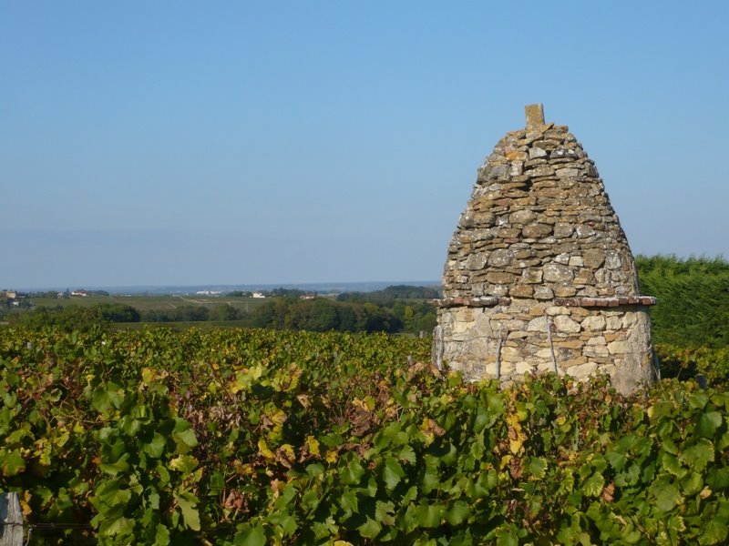 Puits au milieu des vignes Theizé 2009-10 by jeff69