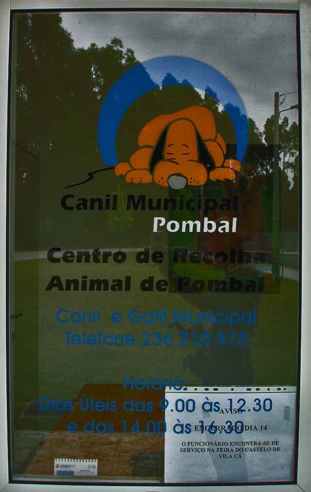 Pombal - Free Dogs and Cats, opening times by 工藤マイケル