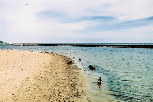 Lake Shore by ElenaMetzlof