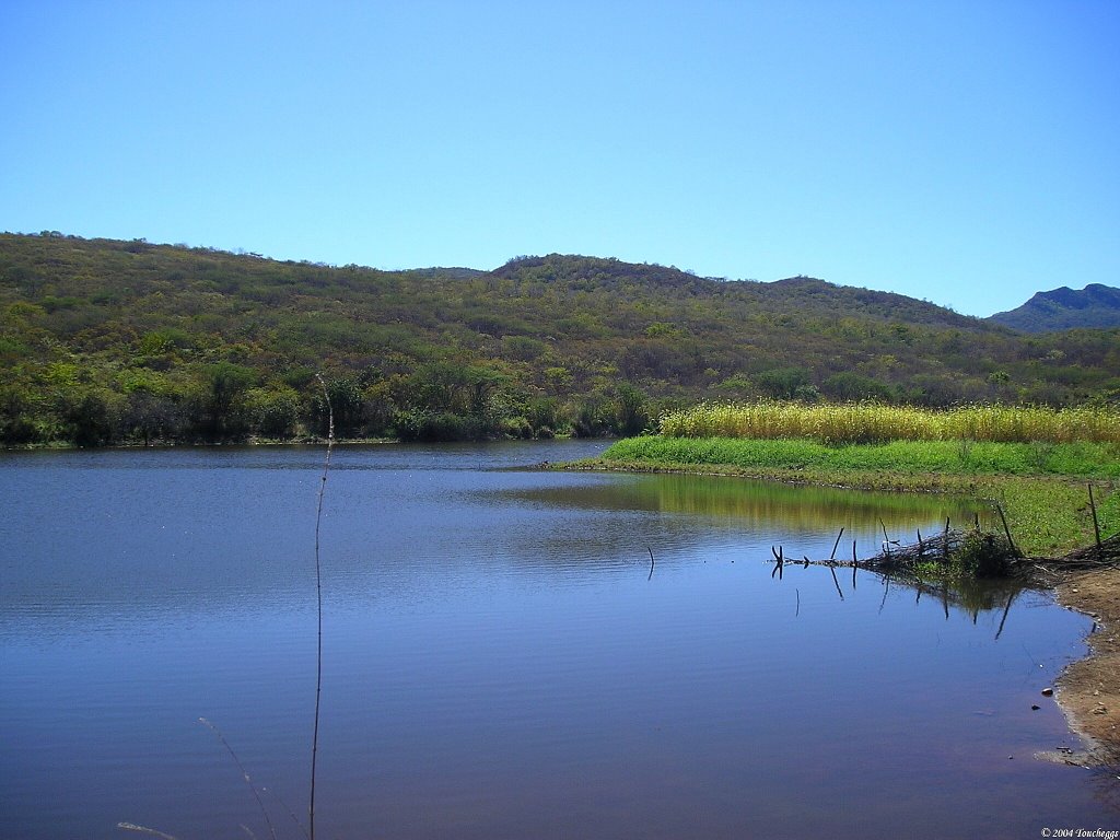 Fazenda Barro Vermelho (7) (Otro lago) by Toucheggs