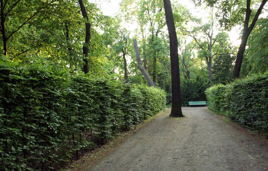 Garden path behind Charlottenburg Palace by rpickens