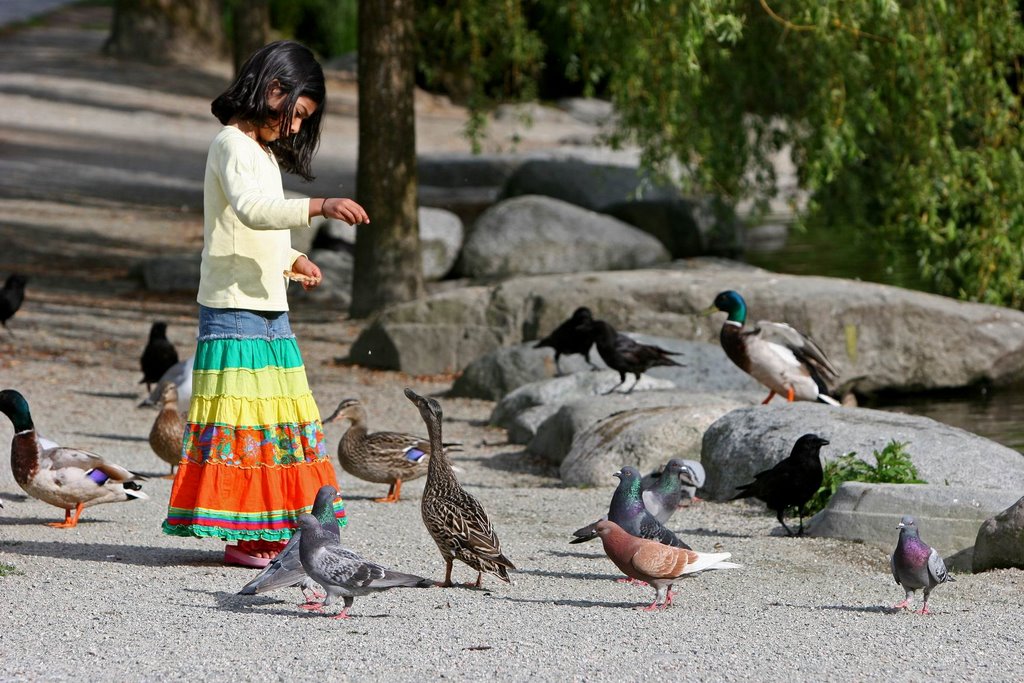 Feeding the ducks by Rom@nce