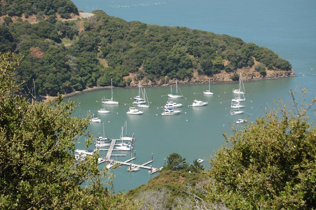 Angel Island marina by ilya_ktsn