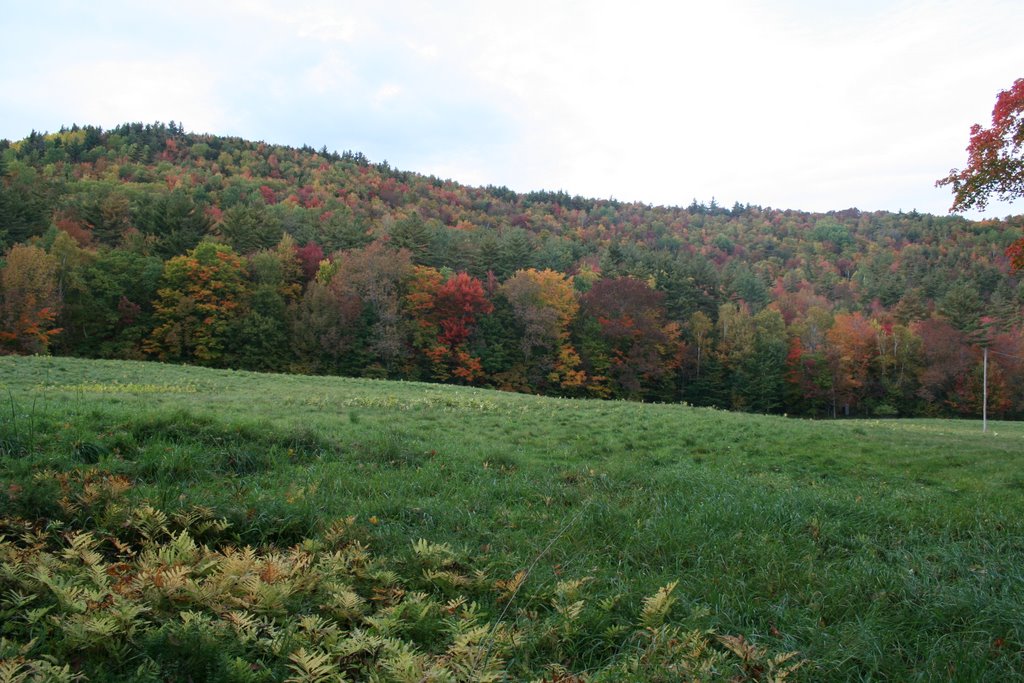 Sugar Hill NH by msnyder