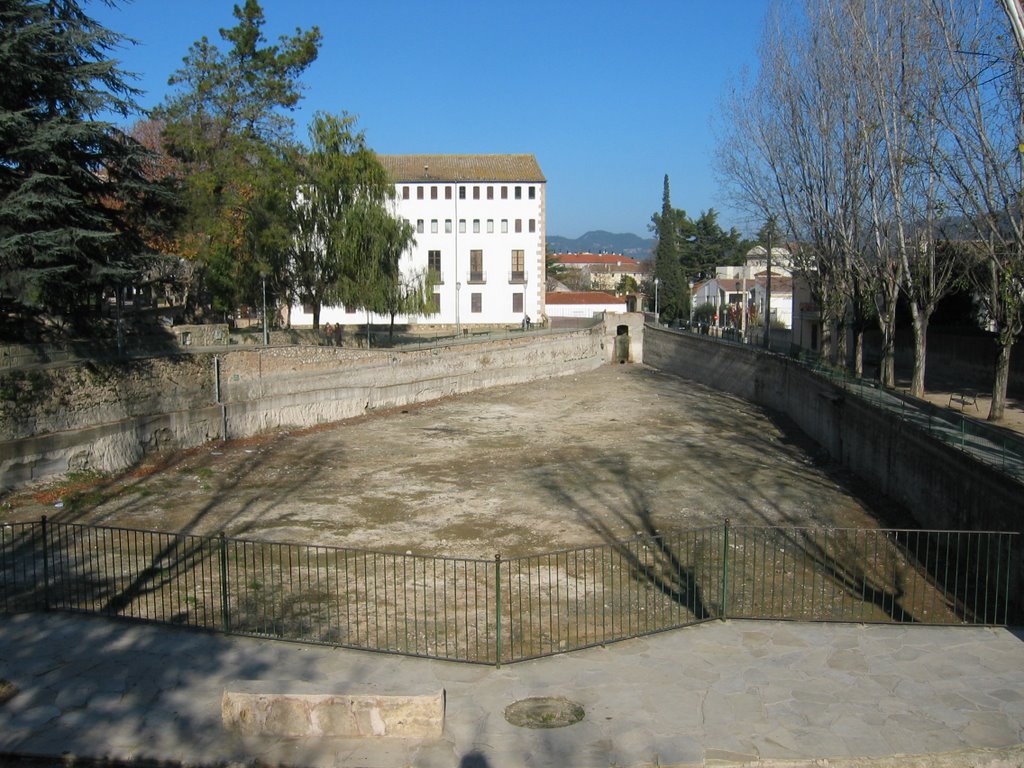 La bassa de Capellades (25_12_2006), aqüífer sobreexplotat? by joan miquel