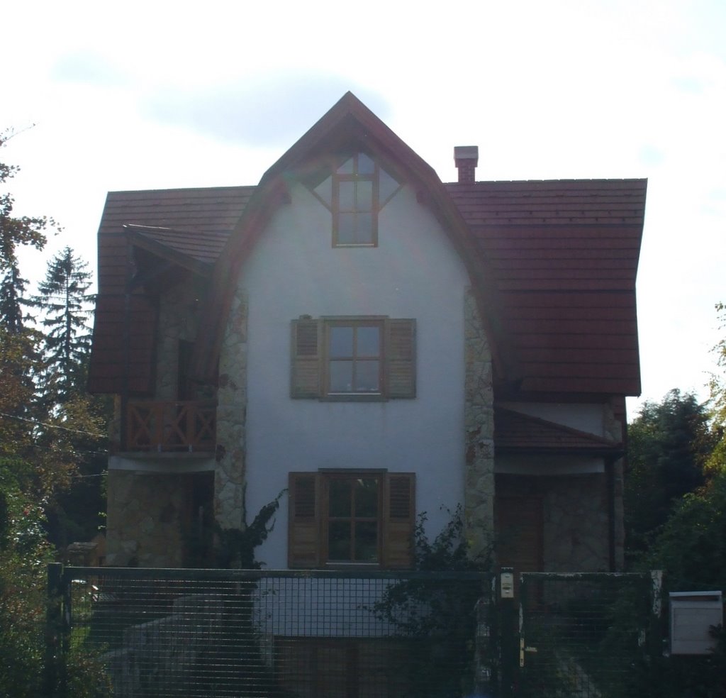 200910061522 Erzsébetligeti lakóház (Dwelling-house in Nord-west Buda) by Kornél2009