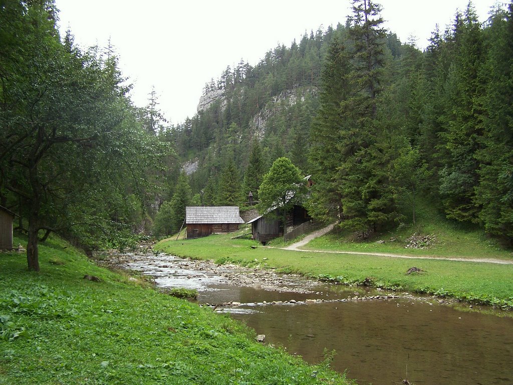 A glade in Oblazy, Kvačianska valley by Bibiana Papp