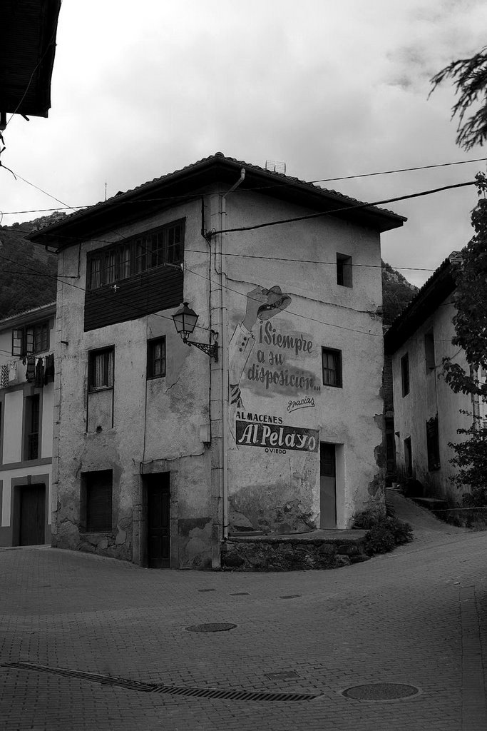 Campo de Caso, Caso, Asturias, Spain by Antonio Alba