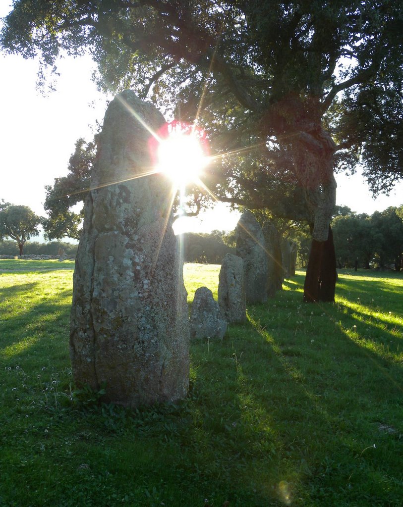 Pranu Mutteddu Allineamento Menhir by rsroberto