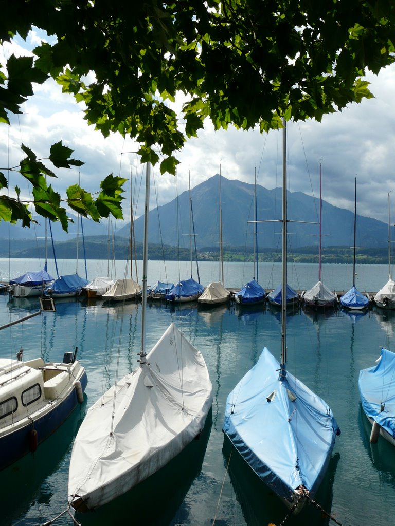 Jachthaven Oberhofen Berner Oberland by RuudC.