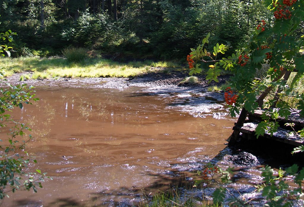 Moor in Fleckl by T. Hilpert