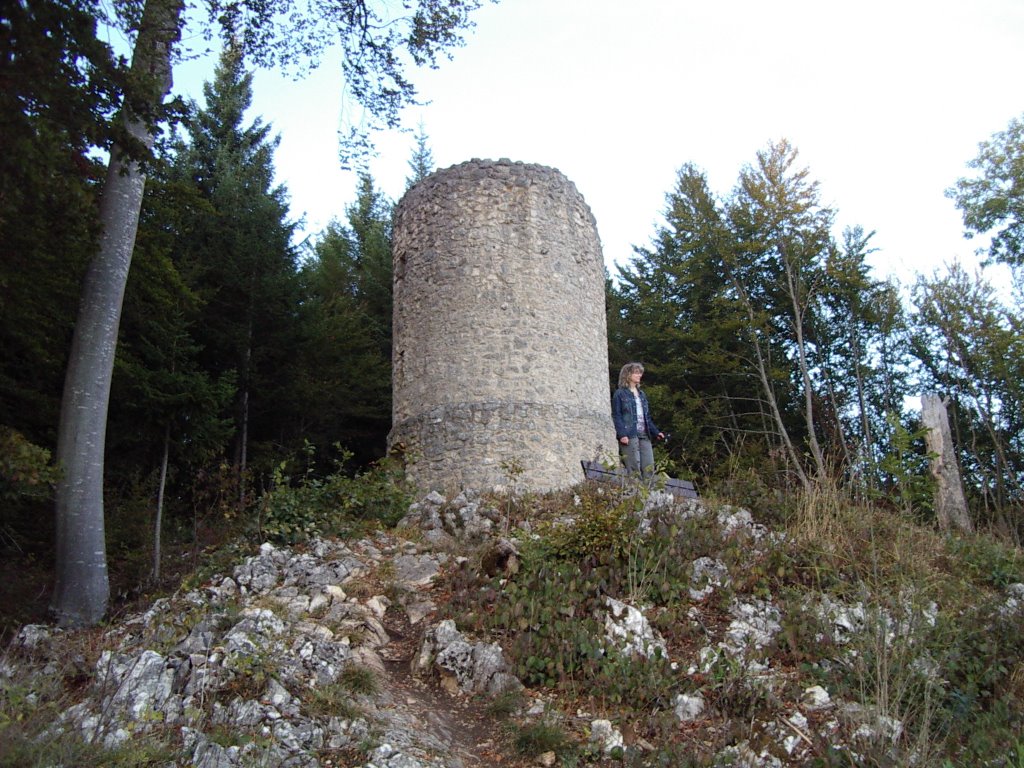 Turmrest der Ruine Hausen by urmele