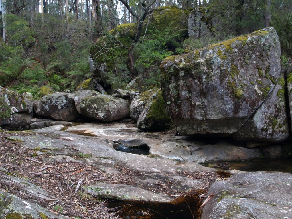 Six Mile Creek, South East Forests National Park, Australia by Mark Jekabsons