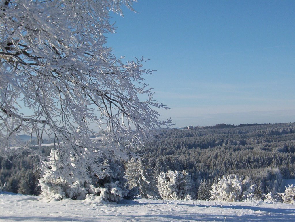 Aussicht auf den Dreifaltigkeitsberg by A.Flad