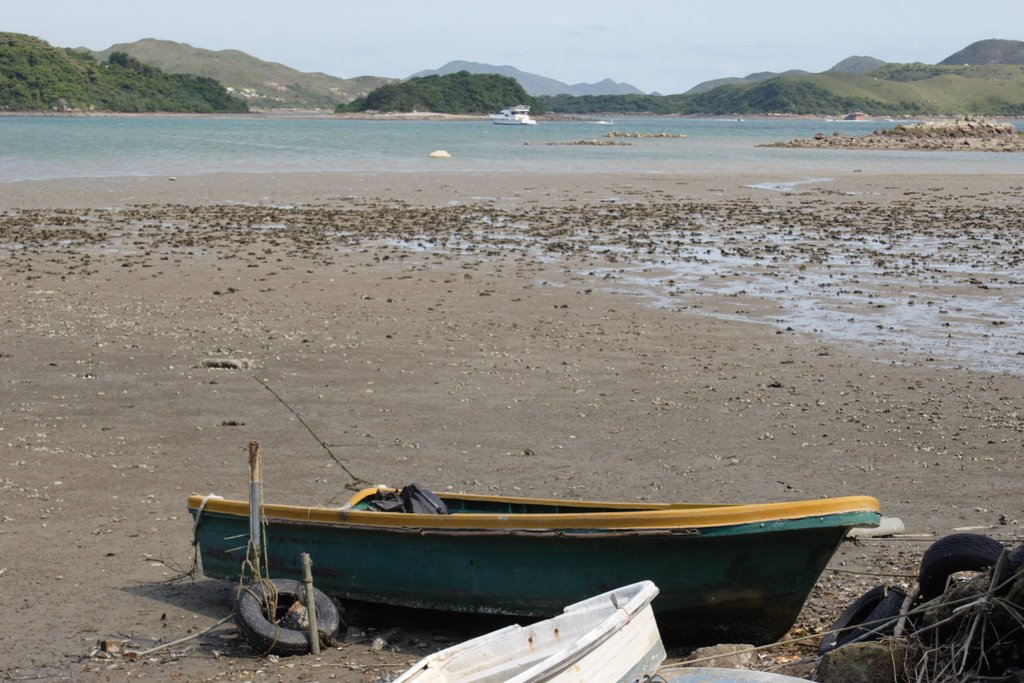 Marsh off Fishing Pond, Sai Kung by www.mud.hk