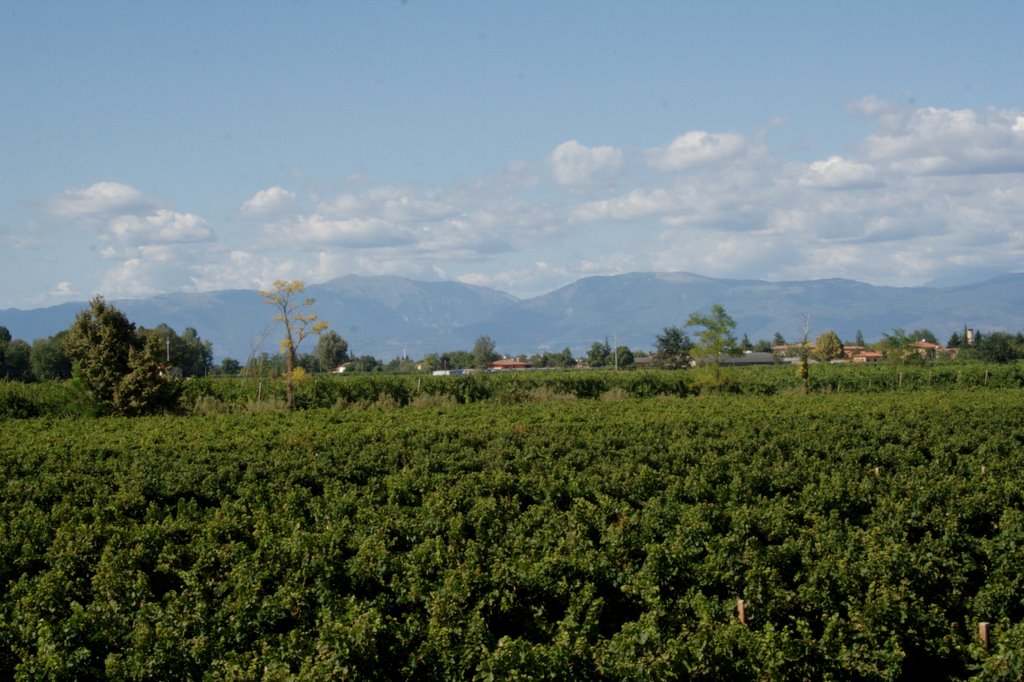 Pizzoc e Visentin visti dall'argine di Ponte di Piave by IZ3JIO