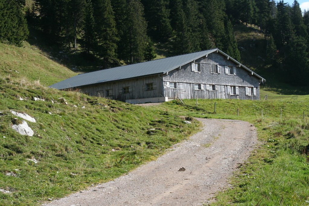 Bereuters Neualpe 1500 m Sibratsgfäll by Wolfurt