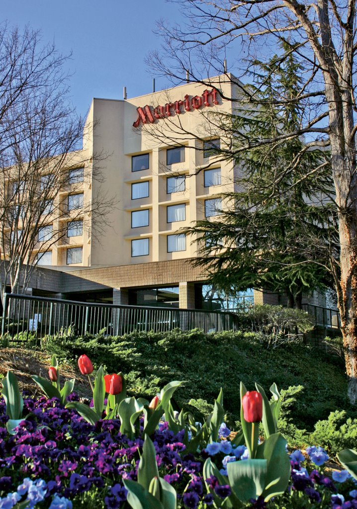 Raleigh Marriott Crabtree Valley Hotel by MarriottEastern