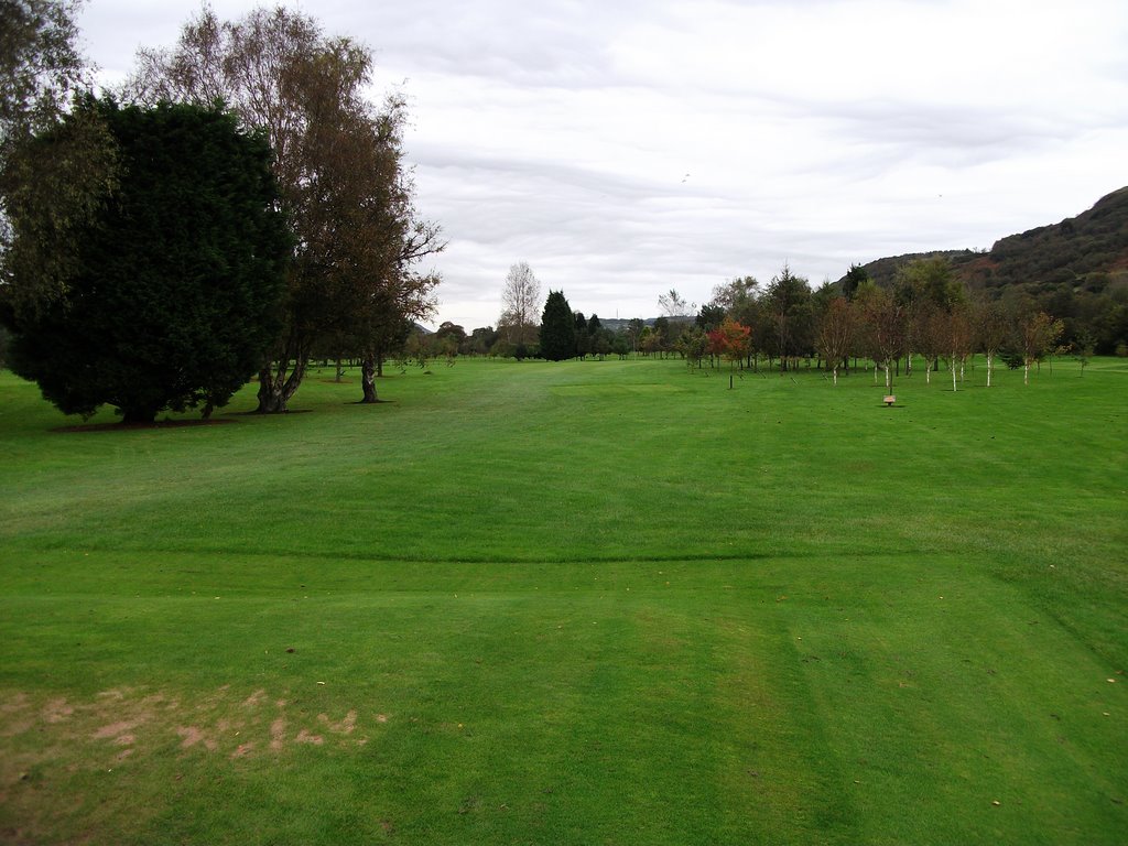 Tawe Vale 7th "The Copse" Par 4 by gozgas46