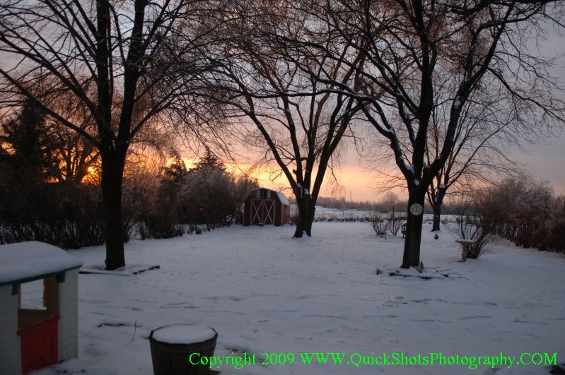 A winter shots of my p's back yard by bde269