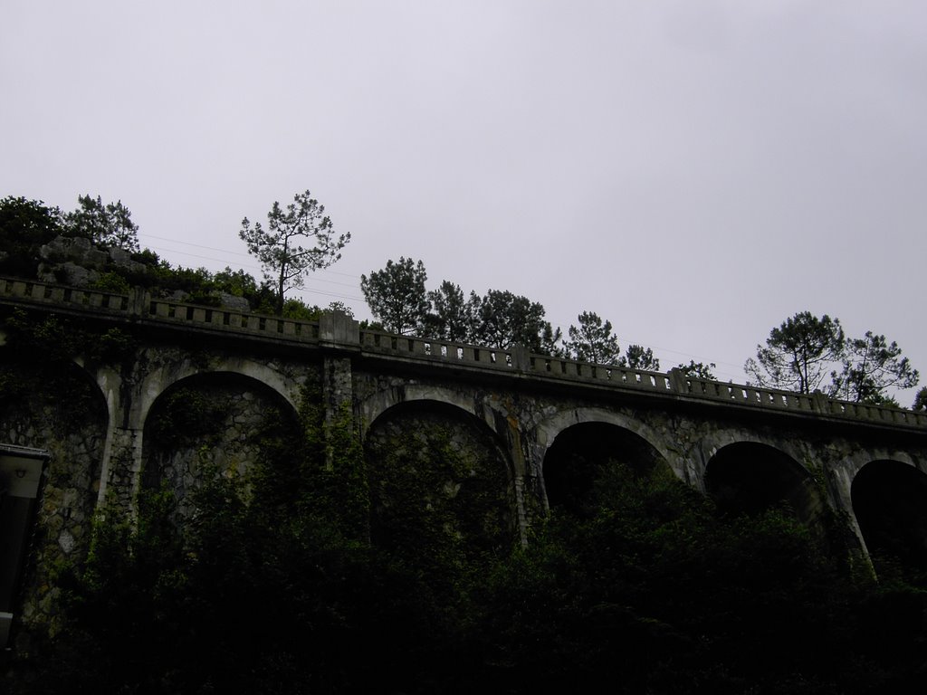 Ferrocarril del FEVE de Ferrol-Gijon by Rosaflor