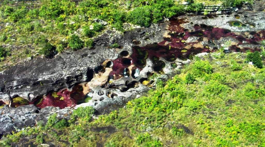 Caño Cristales Espectacular by diegofernando