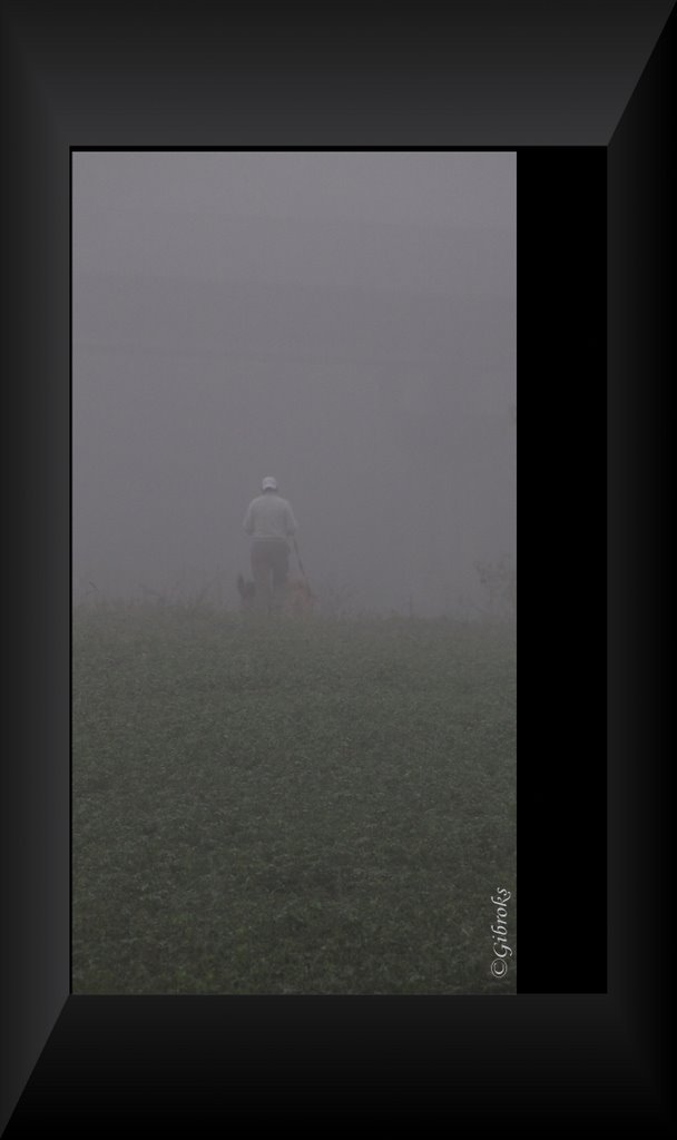 #7 Alone in the fog -- Soli nella nebbia by ©Gibroks