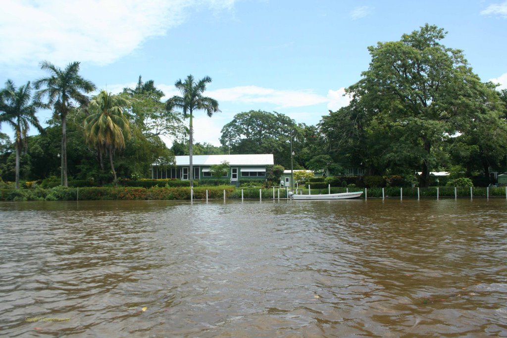 Plantation, Belize River by scooteribcruisin