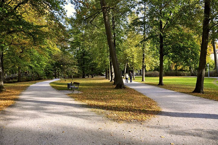 Park in Early Autumn by missoni