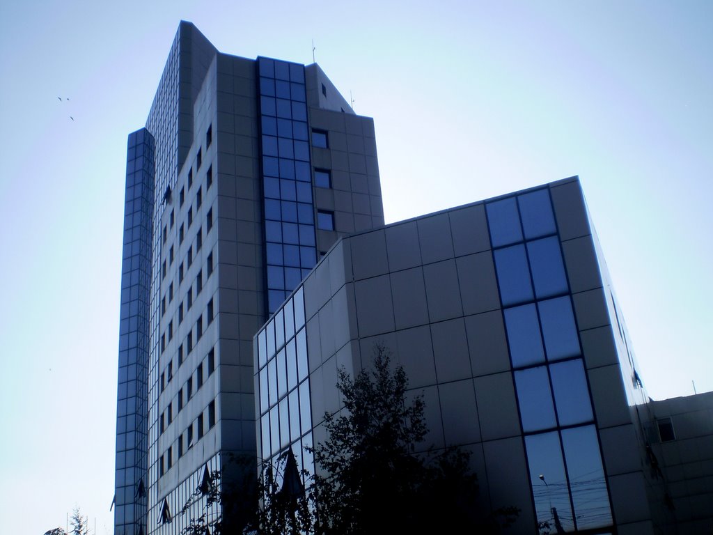 Iasi , Civic Center , Hotel Europa , detail by Argenna