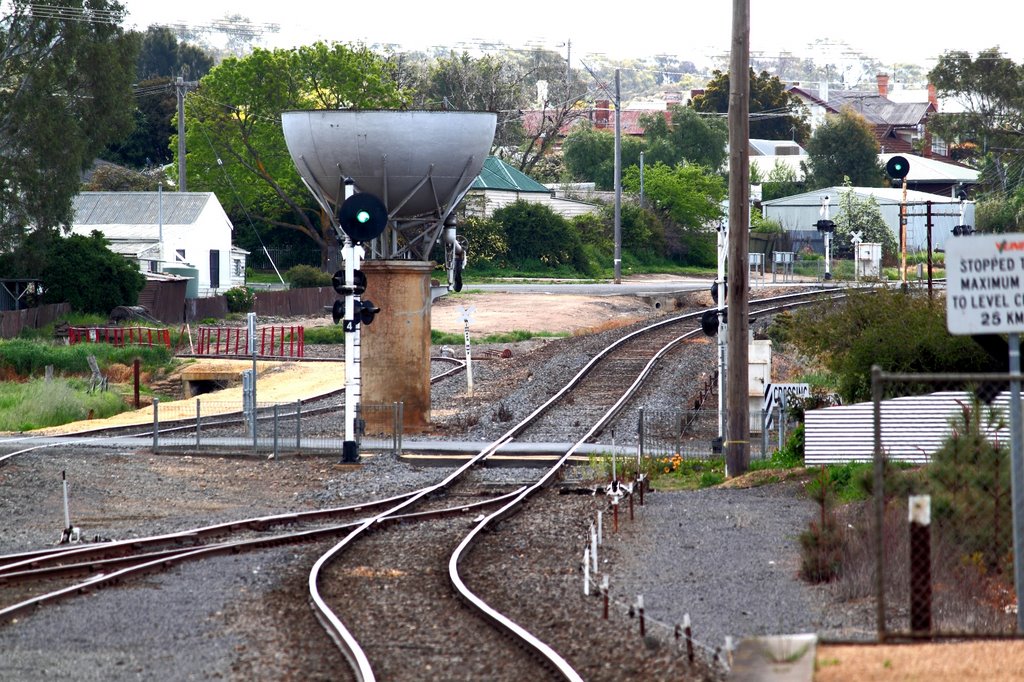 St. Arnaud Railways by Whroo70