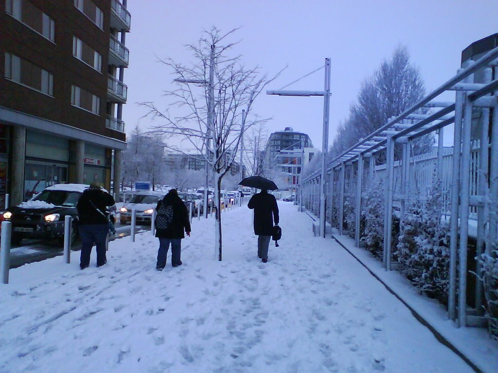 Winter 2008 by plihu