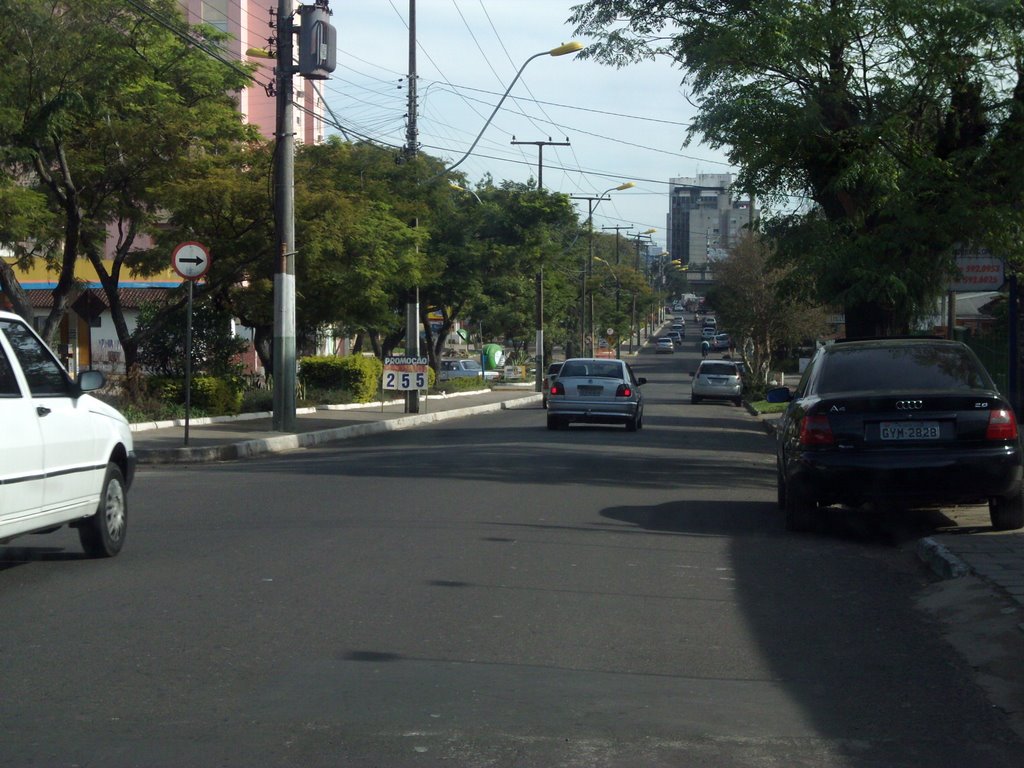 Av. João Corrêa by GDAVID