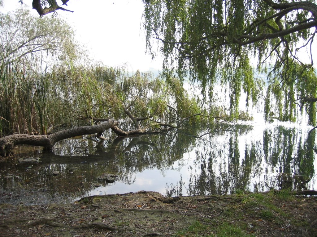 Estany de Banyoles by A.R.G.