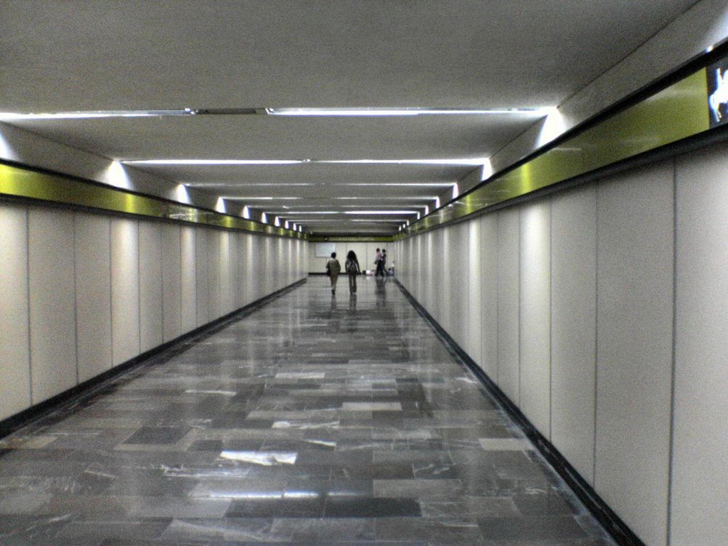 Pasaje en el metro Divisiòn del Norte by Wiper México