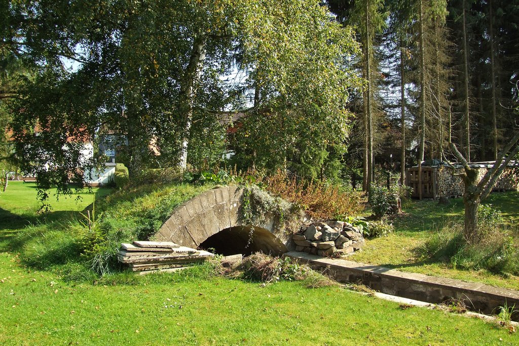 Kreisbahn Osterode-Kreiensen - Rest eines Brückenbogens by oeftermalwasneues