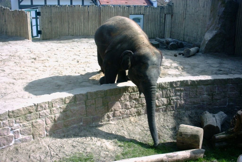 Halle Zoo by © Jan Papenfuß