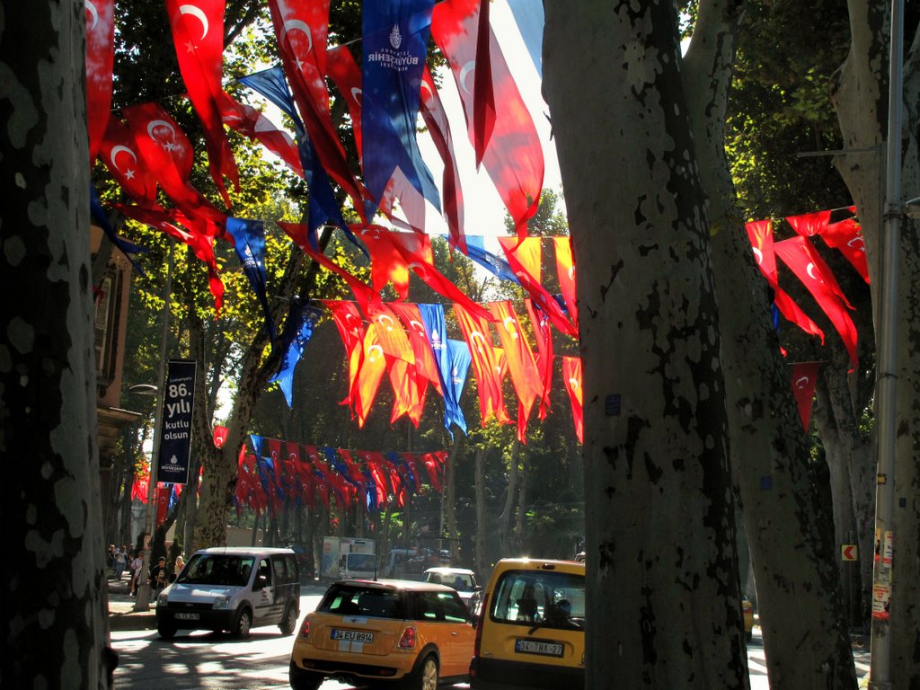 Flying flags by gezginruh