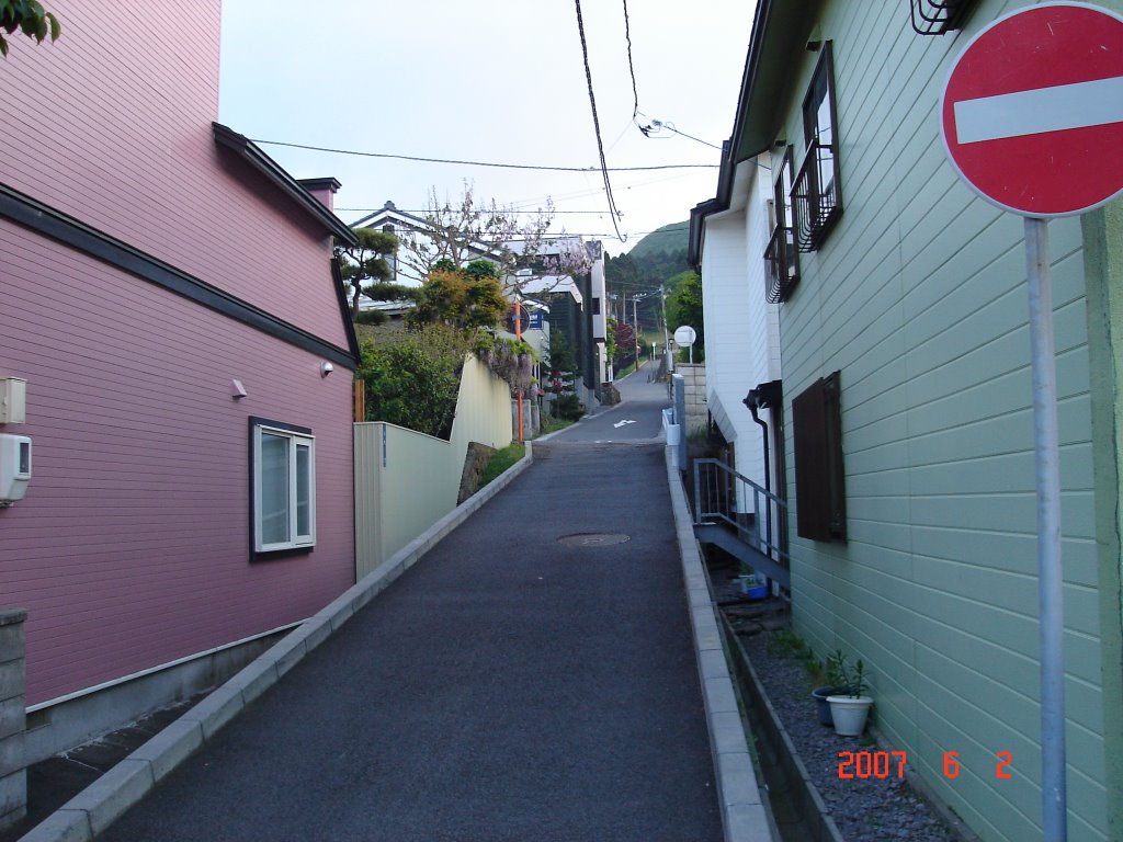 Street Of Hakodate by junnan