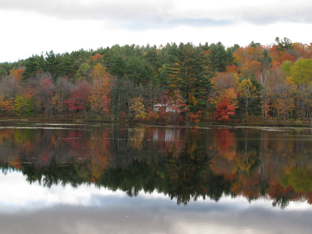 The colors at the pond by Ak952