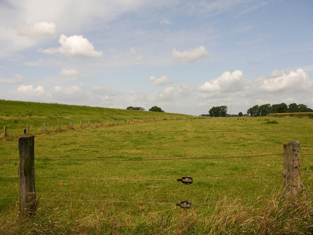 {©RH} Blick hinter den Rheindeich by Reinhard H.