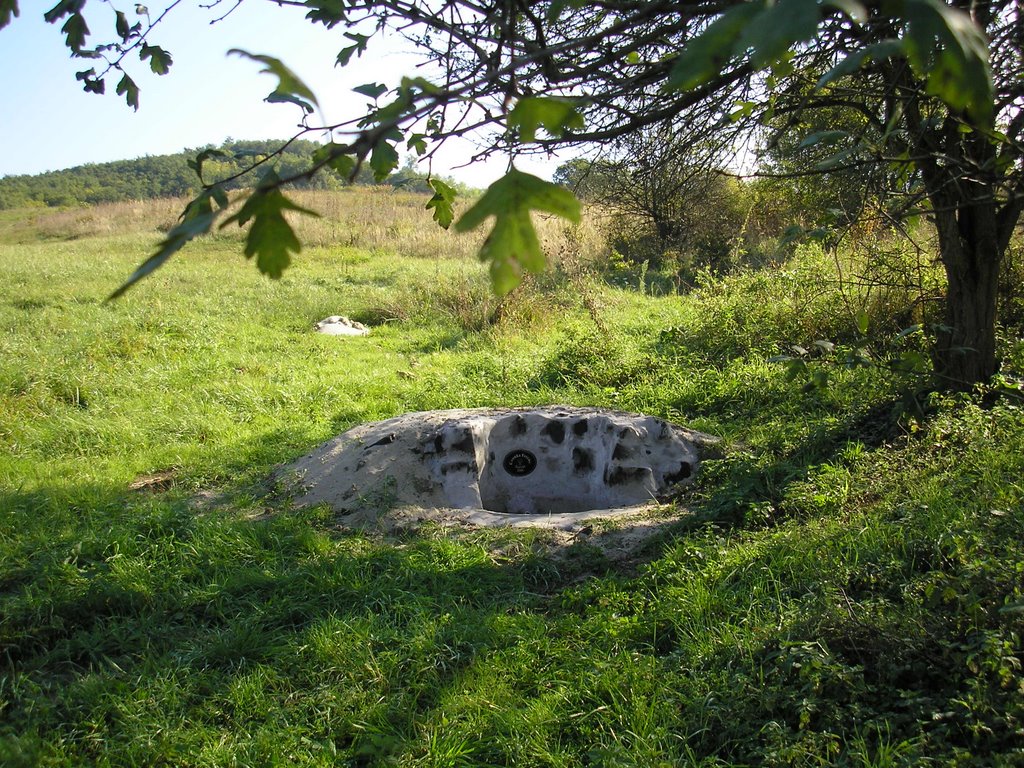 Csonka Ferenc-forrás by Baumann József