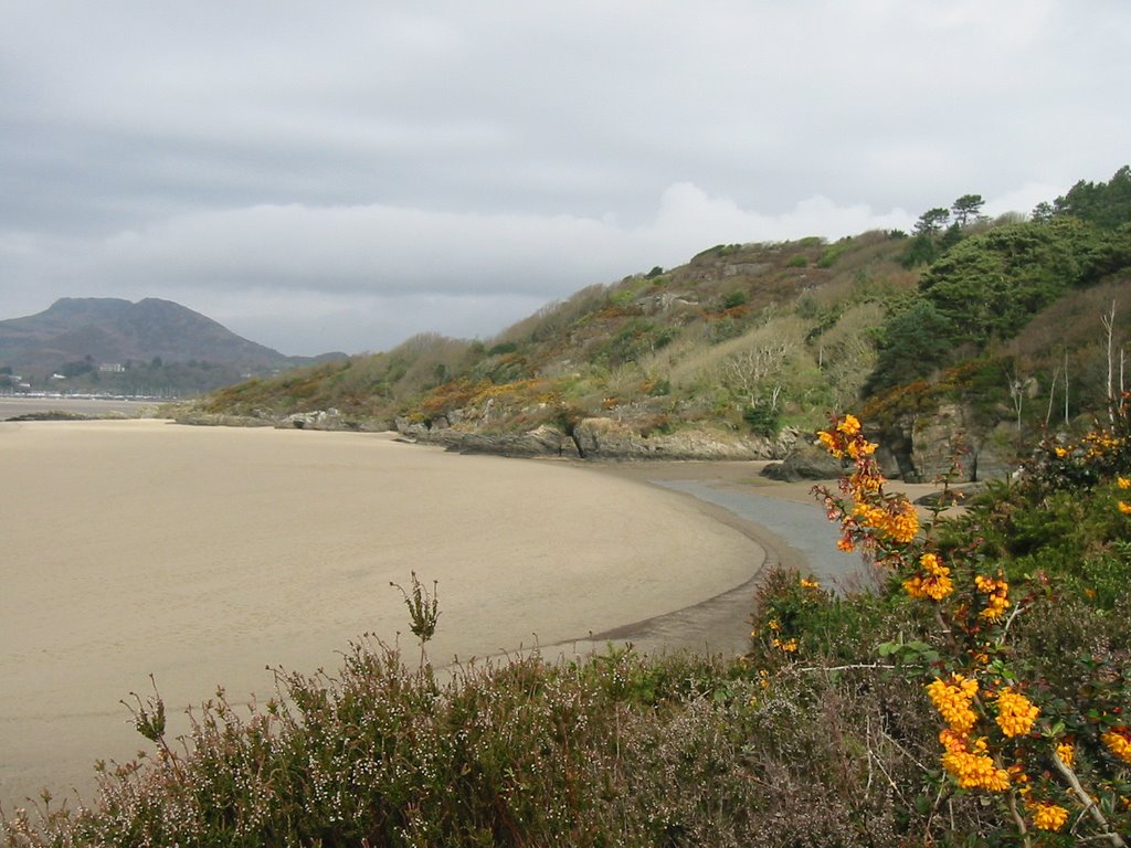 Portmeirion - Looking NW towards Borth Y Gest by TJS